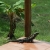 iguana visits our villa